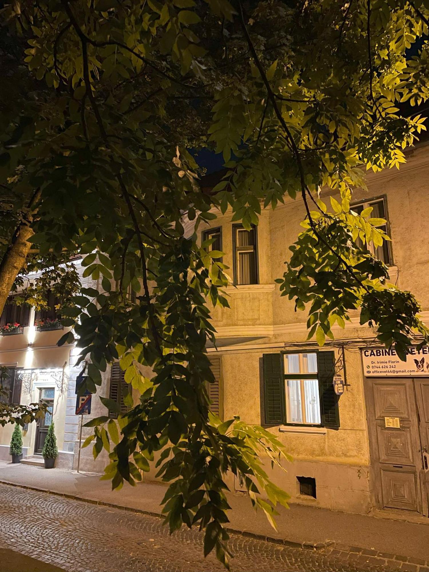 Studiopro44 Sibiu Buitenkant foto
